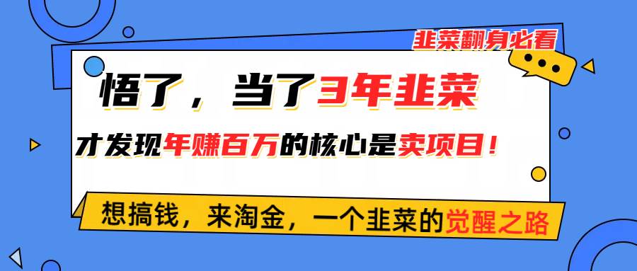 悟了，当了3年韭菜，才发现网赚圈年赚100万的核心是卖项目，含泪分享！-资源智库