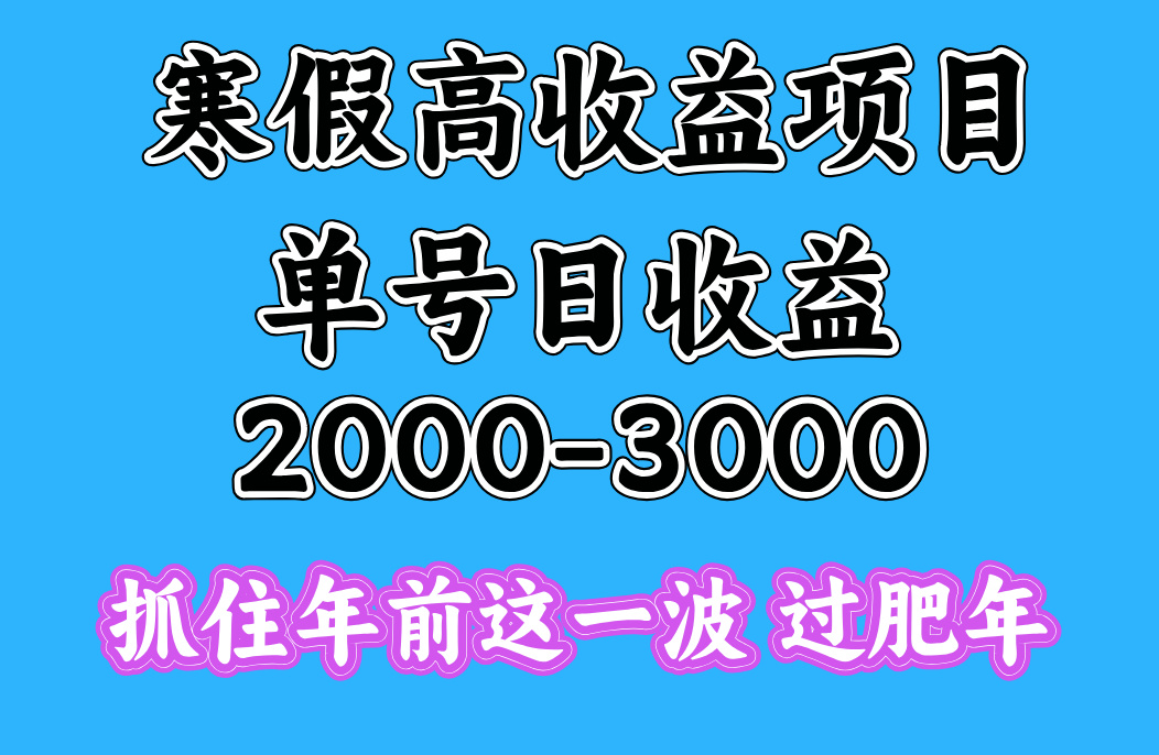 寒假期间一天收益2000-3000+，抓住年前这一波-资源智库