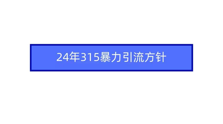 2024年315暴力引流方针-资源智库