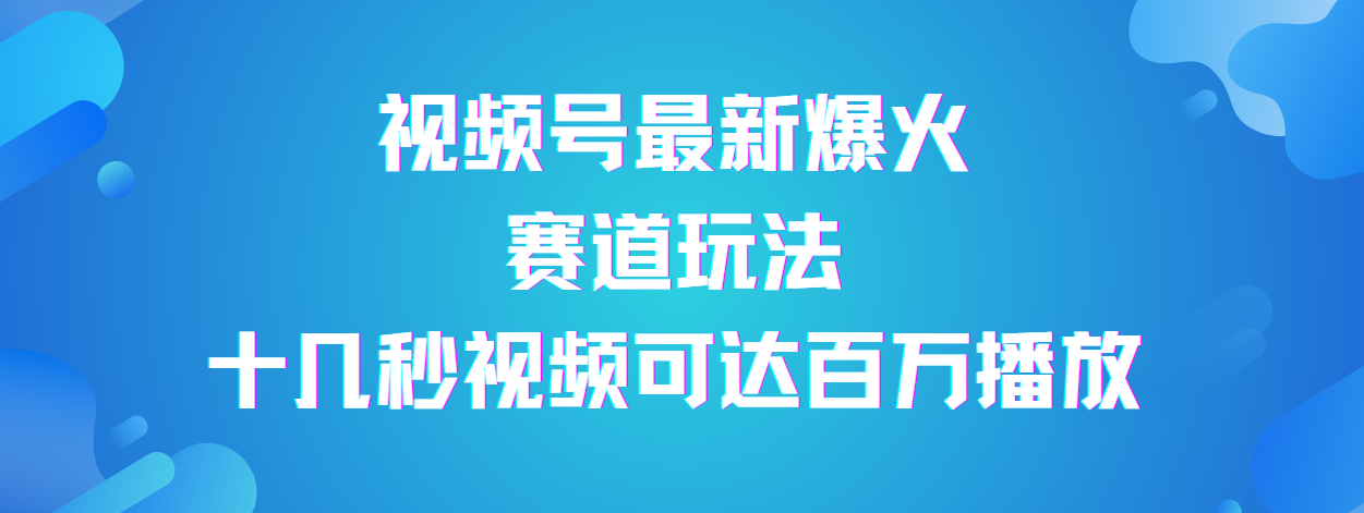 视频号最新爆火赛道玩法，流量巨大，视频制作简单，轻松月入数万-资源智库