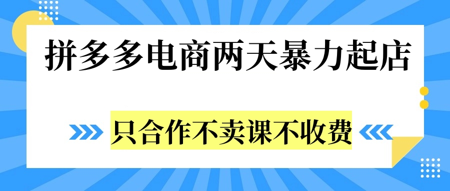 拼多多两天暴力起店，只合作不卖课不收费-资源智库