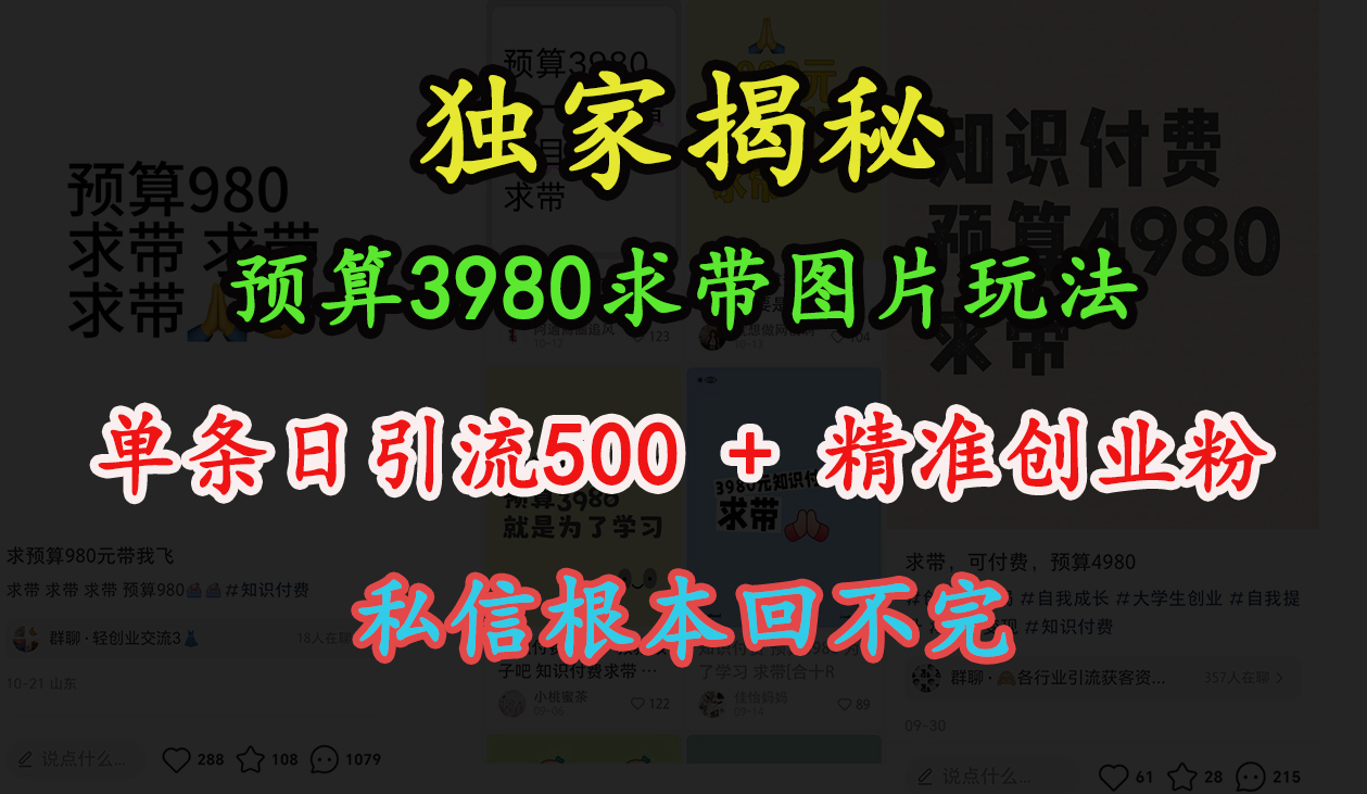 “小红书”预算3980求带 图片玩法，单条日引流500+精准创业粉，私信根本回不完-资源智库