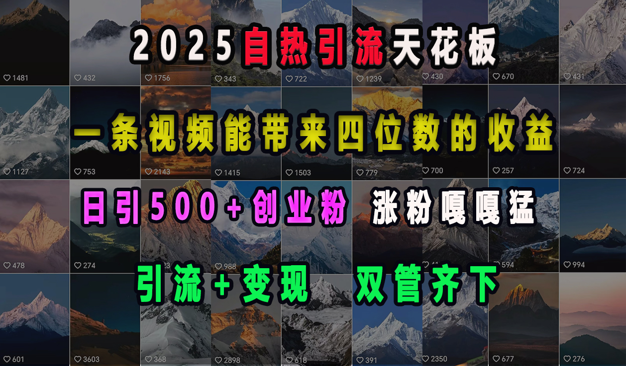 2025自热引流天花板，一条视频能带来四位数的收益，引流+变现双管齐下，日引500+创业粉，涨粉嘎嘎猛-资源智库