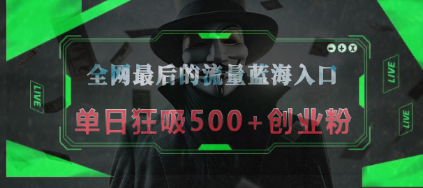 全网最后的流量蓝海入口，半小时引流50+创业粉，单日狂吸500+创业粉-资源智库