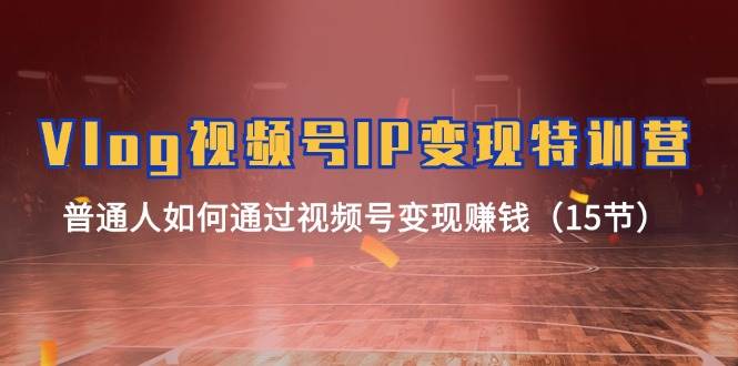 Vlog 视频号IP变现特训营，普通人如何通过视频号变现赚钱（15节）-资源智库