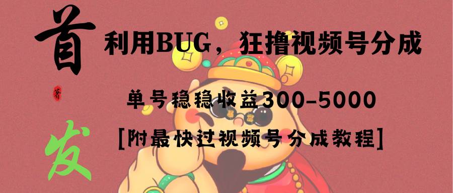 全网独家首发，视频号BUG，超短期项目，单号每日净收益300-5000！-资源智库