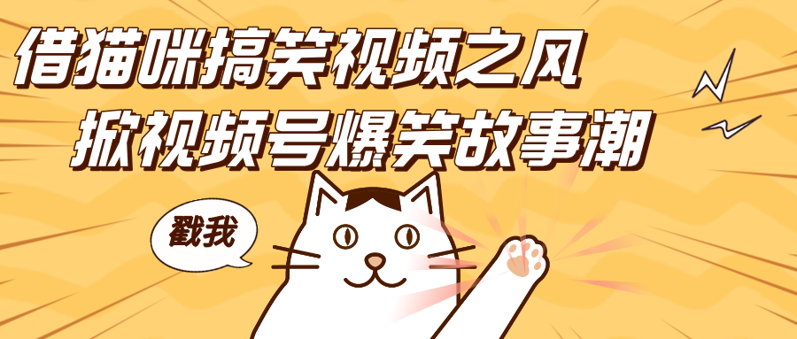 借猫咪搞笑视频之风，掀视频号爆笑故事潮，轻松日赚四位数，开启无门槛赚钱新体验！-资源智库