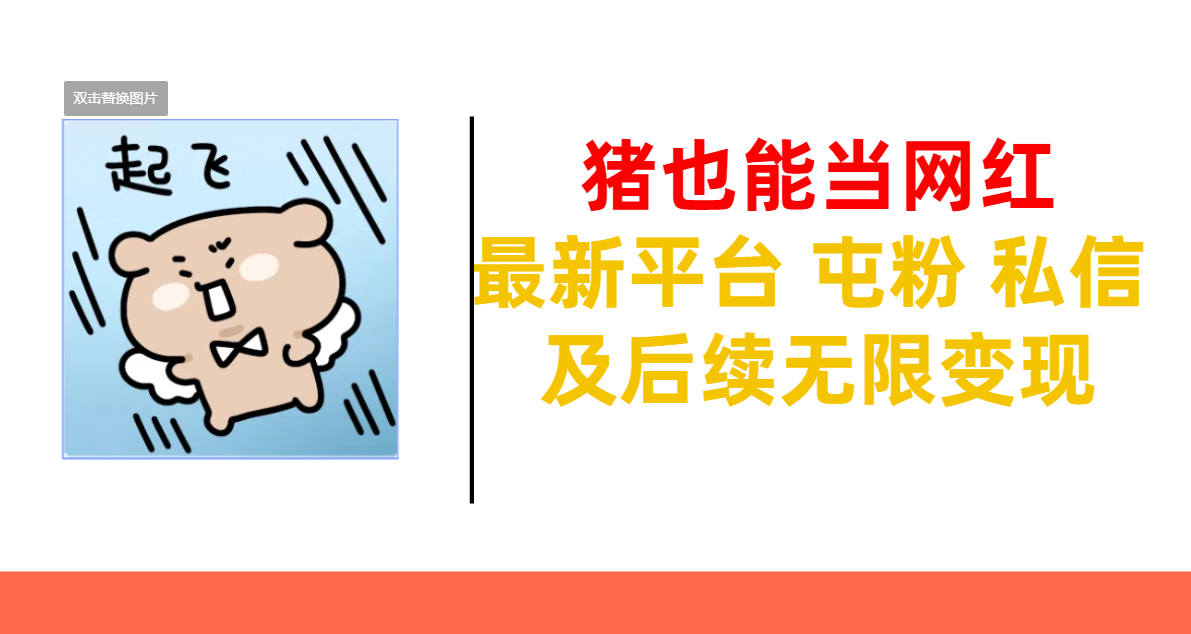 猪也能当网红-最新平台 屯粉 交流 私信 及后续无限变现-资源智库