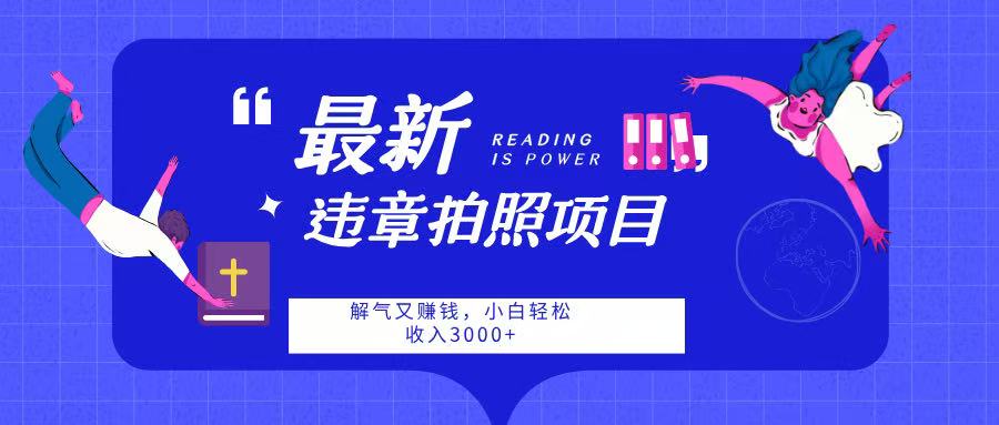 最新违章拍照项目，解气又赚钱，随手一拍，轻松收入3000-资源智库