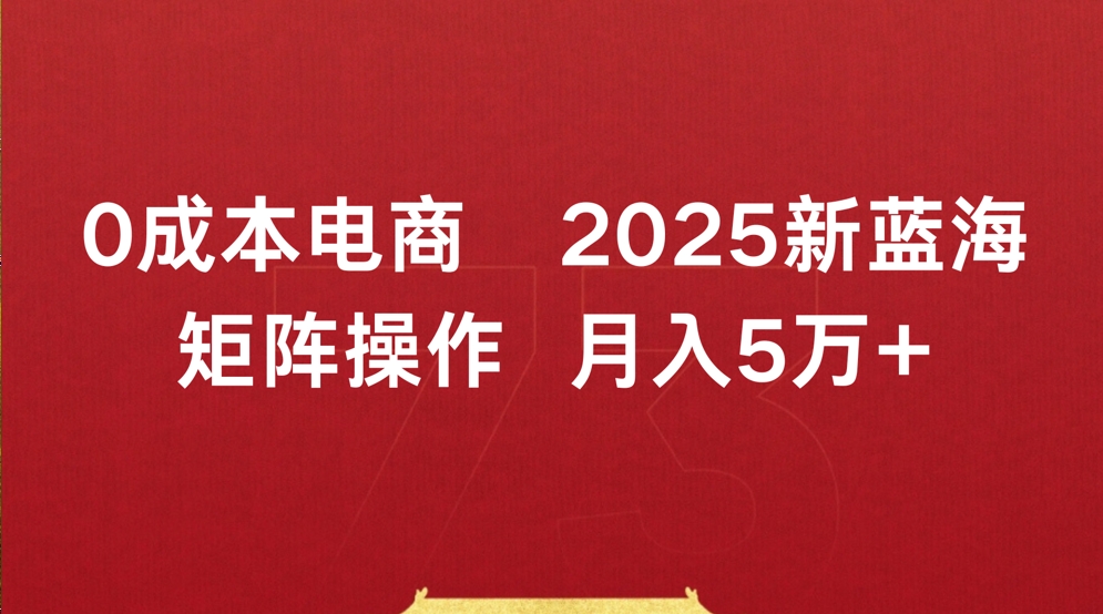 0成本电商2025新蓝海矩阵操作 月入5万+-资源智库