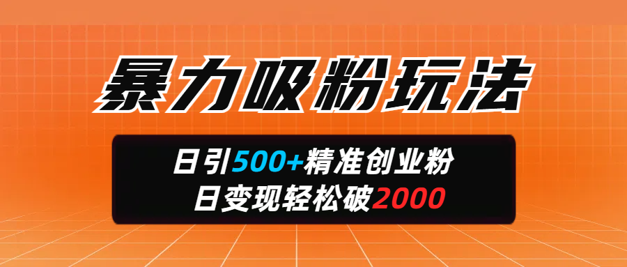 暴力吸粉玩法，日引500+精准创业粉，日变现轻松破2000-资源智库
