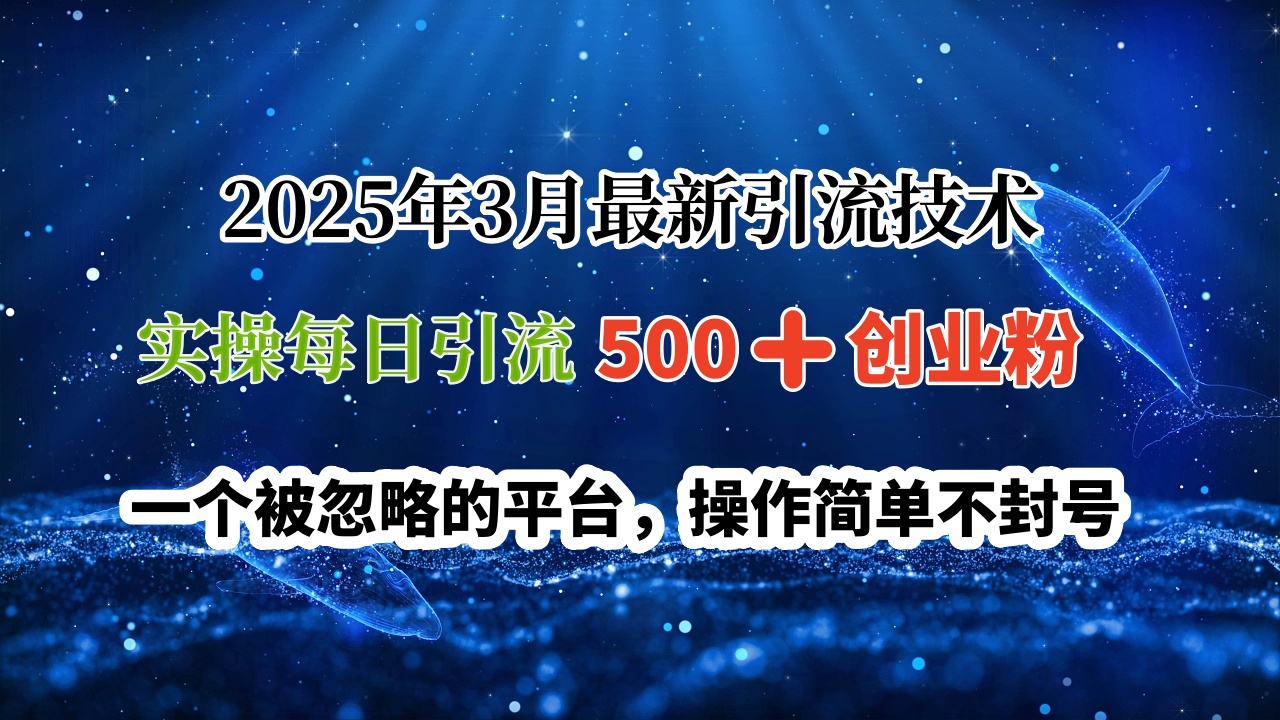 2025年3月最新引流技术，实操每日引流500➕创业粉，一个被忽略的平台，操作简单不封号-资源智库