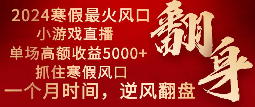 2024年最火寒假风口项目 小游戏直播 单场收益5000+抓住风口 一个月直接提车-资源智库