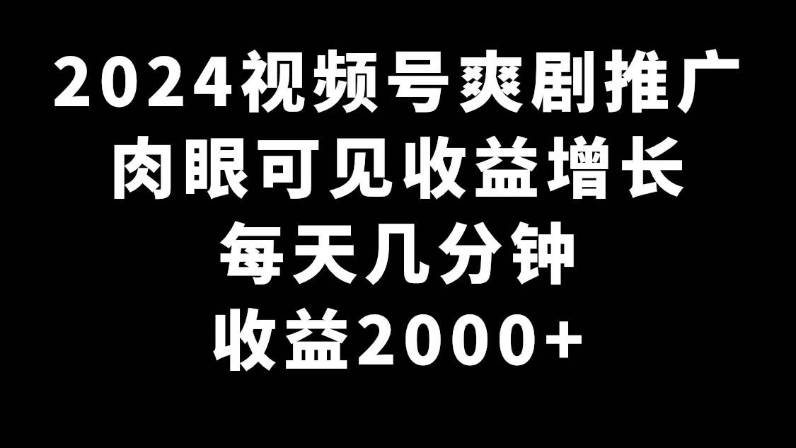 2024视频号爽剧推广，肉眼可见的收益增长，每天几分钟收益2000+-资源智库
