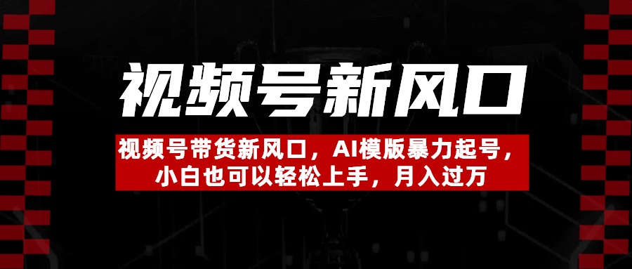 视频号带货新风口，AI模版暴力起号，小白也可以轻松上手，月入过万-资源智库