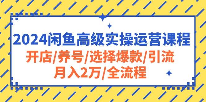 2024闲鱼高级实操运营课程：开店/养号/选择爆款/引流/月入2万/全流程-资源智库