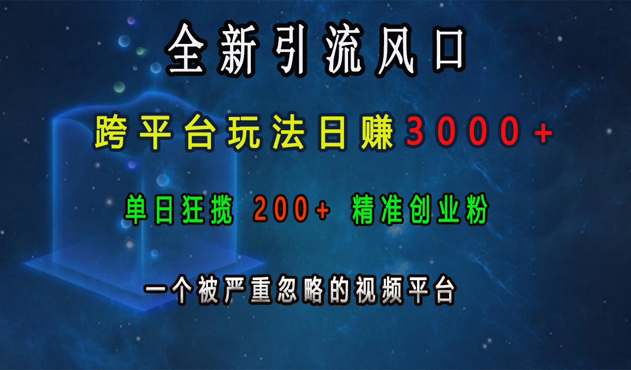 全新引流风口，跨平台玩法日赚3000+，单日狂揽200+精准创业粉，一个被严重忽略的视频平台-资源智库