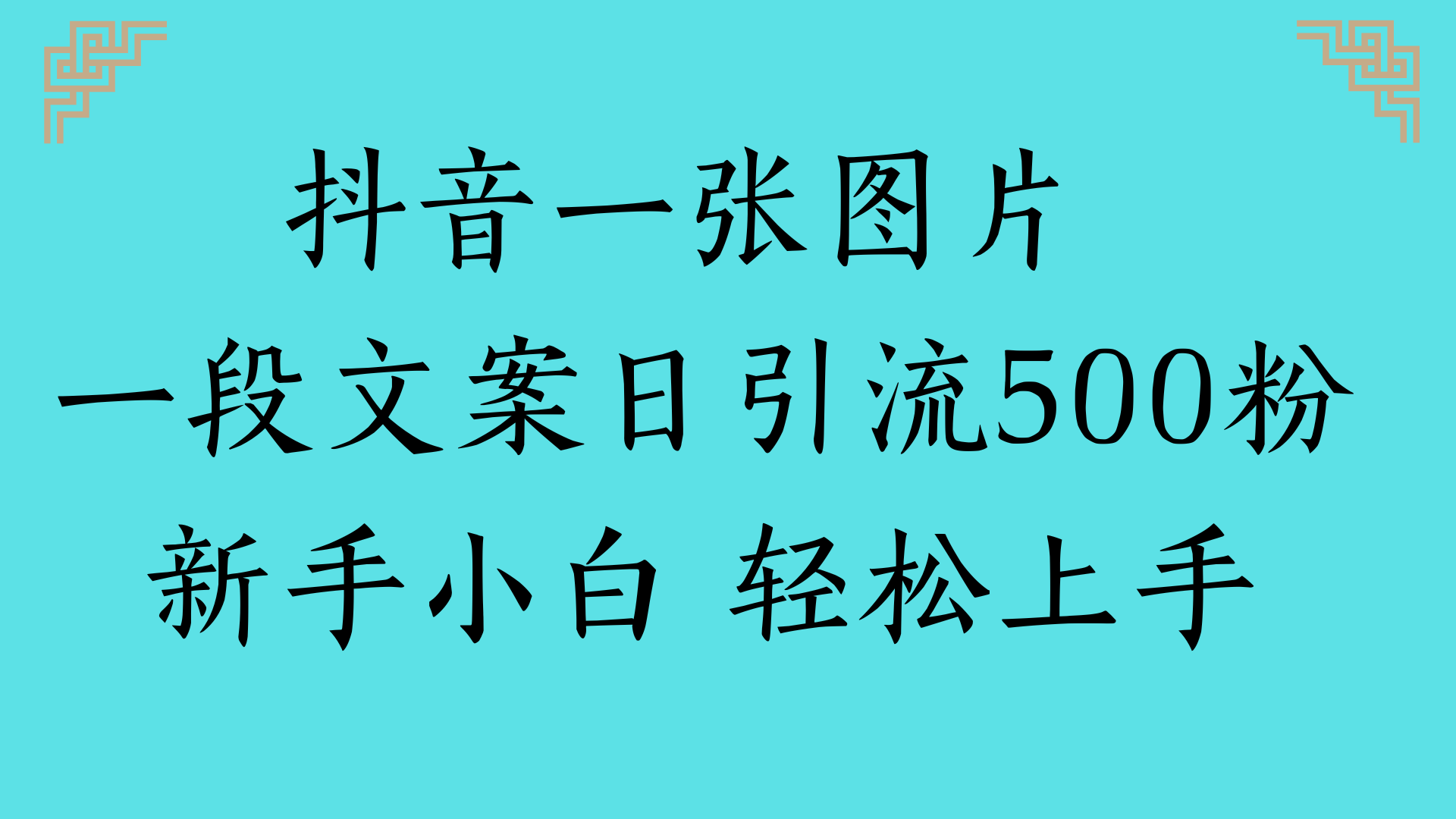 抖音一张图片 一段文案日引流500粉新手小白 轻松上手-资源智库