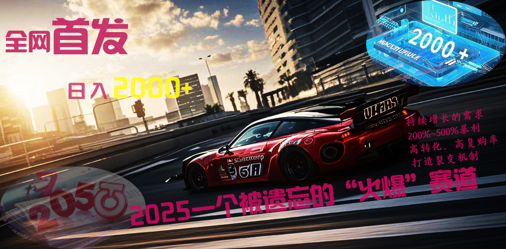 全网首发：2025一个被遗忘的“火爆”赛道轻松日入2000+-资源智库