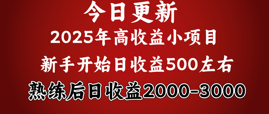 2025开年好项目，新手日收益500+ 熟练掌握后，日收益平均2000多-资源智库