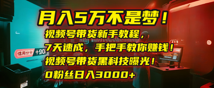 月入5万不是梦！视频号带货新手教程，7天速成，手把手教你赚钱！视频号带货黑科技曝光！0粉丝日入3000+-资源智库
