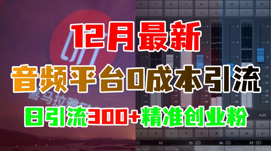 12月最新：音频平台0成本引流，日引300+精准创业粉-资源智库