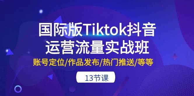 国际版Tiktok抖音运营流量实战班：账号定位/作品发布/热门推送/等等-13节-资源智库