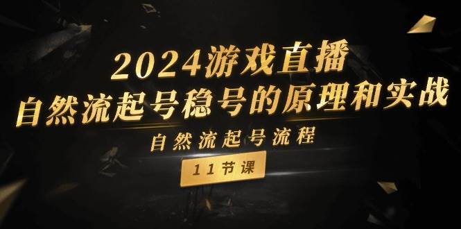 2024游戏直播-自然流起号稳号的原理和实战，自然流起号流程（11节）-资源智库