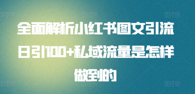 暴力引流 小红书图文引流日引100私域全面拆解【打粉人必看】-资源智库