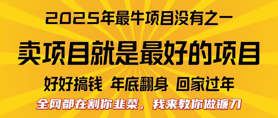 全网都在割你韭菜，我来教你做镰刀。卖项目就是最好的项目，2025年最牛互联网项目-资源智库