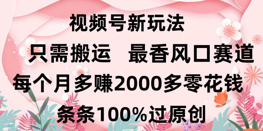 日入2000+，条条100%过原创，视频号最香风口赛道，小白轻松上手-资源智库