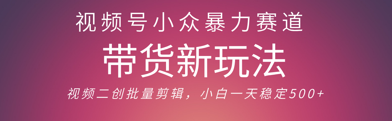 视频号小众暴力赛道，最新带货玩法 小白也能轻松日入500+ 保姆及教程-资源智库