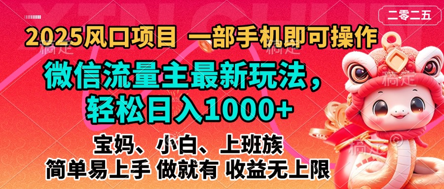 2025蓝海风口项目,微信流量主最新玩法,轻松日入1000+,简单易上手,做就有 收益无上限-资源智库