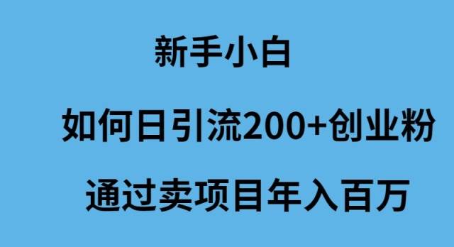 新手小白如何日引流200+创业粉通过卖项目年入百万-资源智库