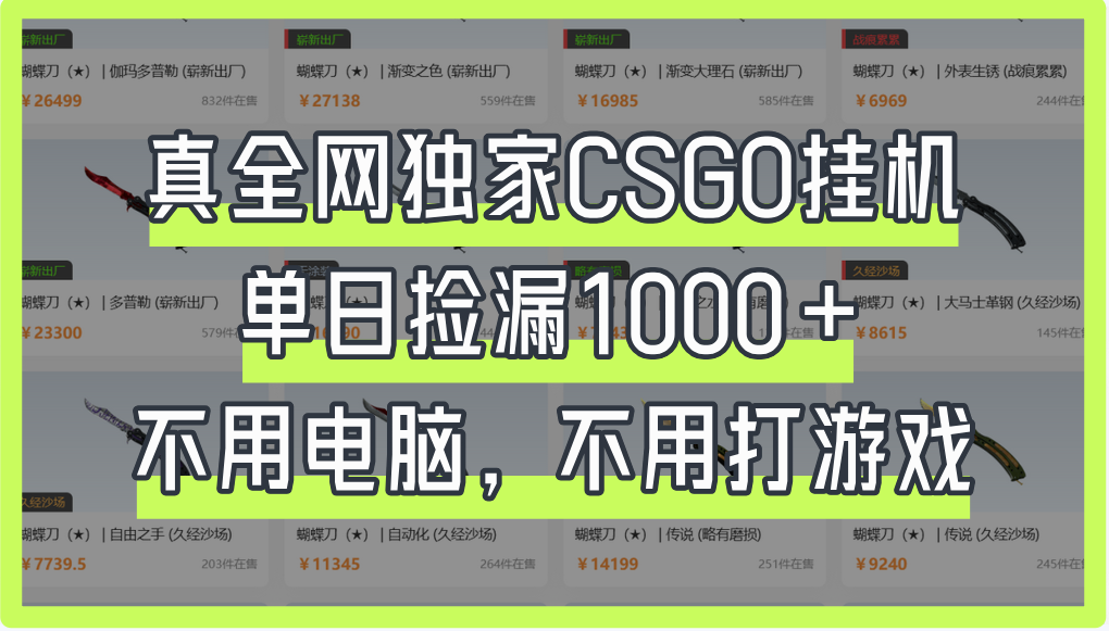 真全网独家CSGO挂机，单日捡漏1000+-资源智库