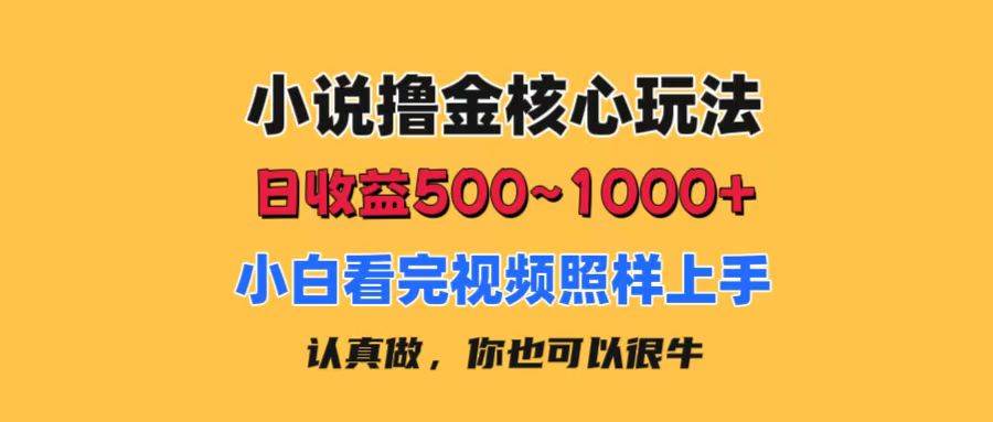 小说撸金核心玩法，日收益500-1000+，小白看完照样上手，0成本有手就行-资源智库