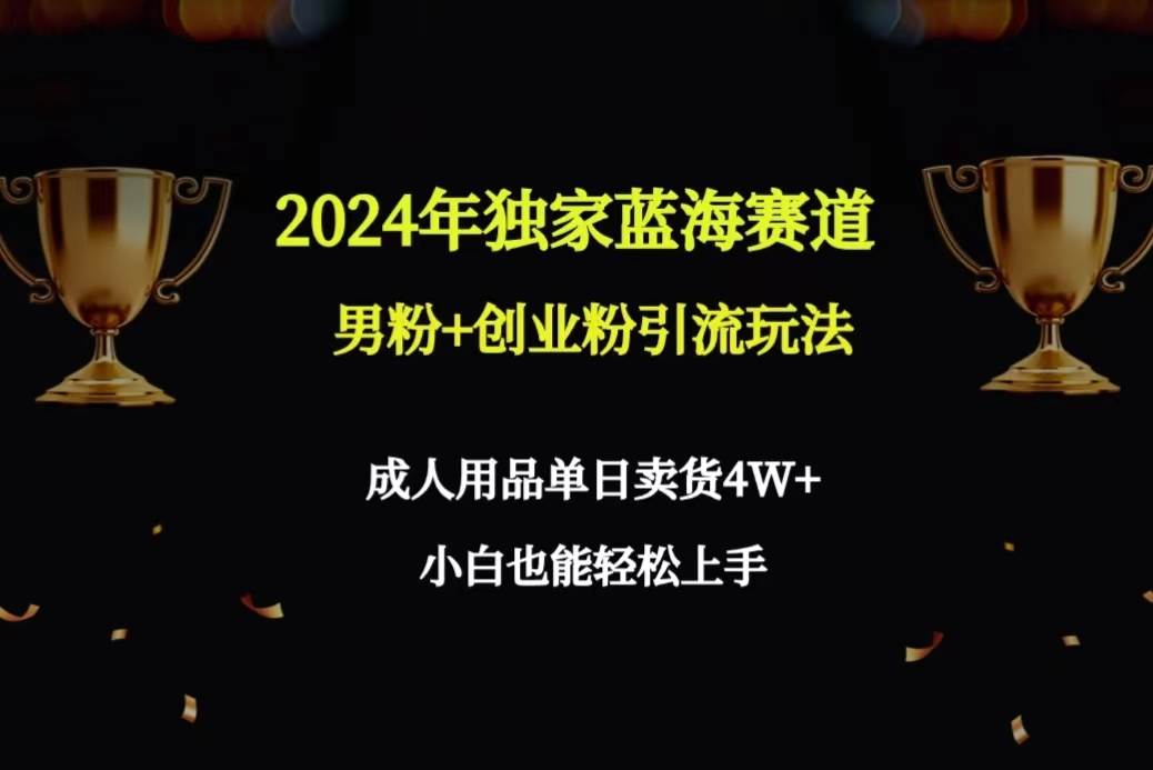 2024年独家蓝海赛道男粉+创业粉引流玩法，成人用品单日卖货4W+保姆教程-资源智库
