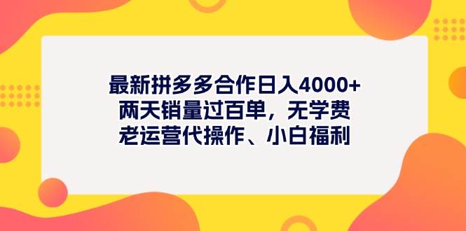 最新拼多多项目日入4000+两天销量过百单，无学费、老运营代操作、小白福利-资源智库