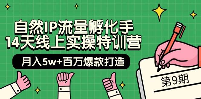 自然IP流量孵化手 14天线上实操特训营【第9期】月入5w+百万爆款打造 (74节)-资源智库