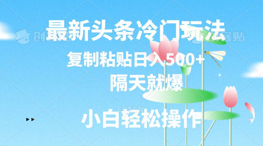 最新头条冷门玩法，隔天就爆，复制粘贴日入500+-资源智库