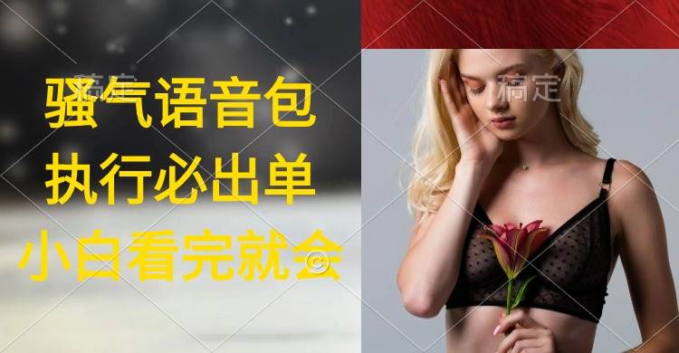 执行就出单，日入2000+，超火骚气语音包，小白看完课程就能马上实操-资源智库