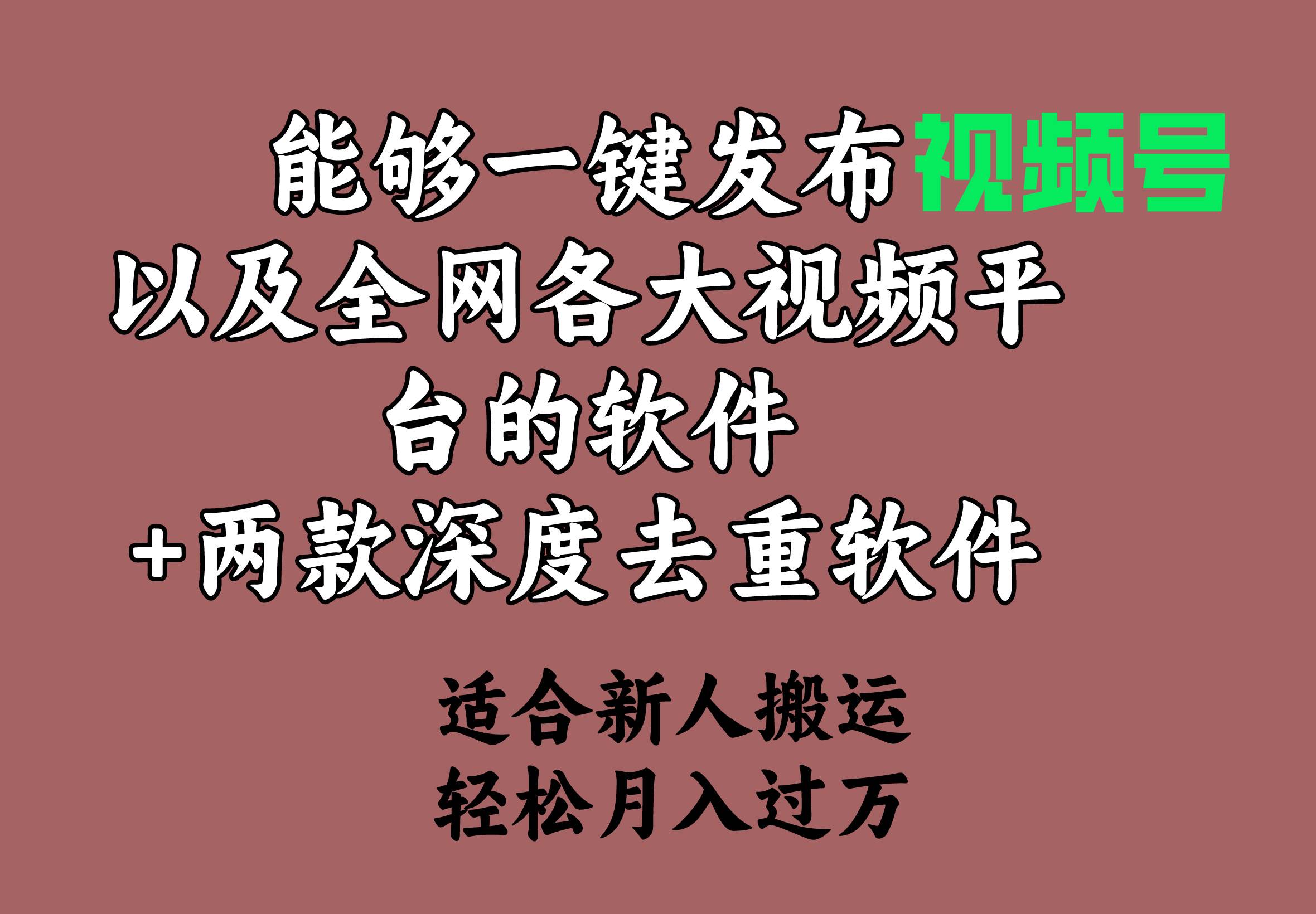 能够一键发布视频号以及全网各大视频平台的软件+两款深度去重软件 适合…-资源智库