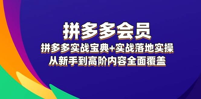 拼多多 会员，拼多多实战宝典+实战落地实操，从新手到高阶内容全面覆盖-资源智库
