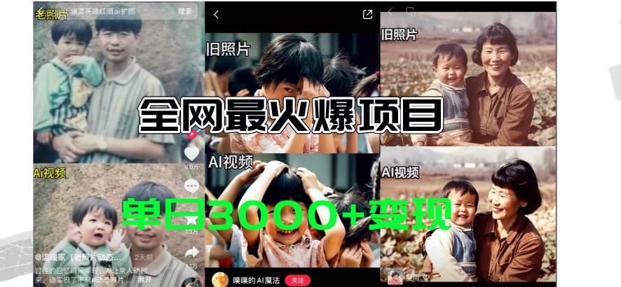 全网爆火的AI让老照片动起来教程，蹭热点日赚3000+，内含免费工具一键…-资源智库