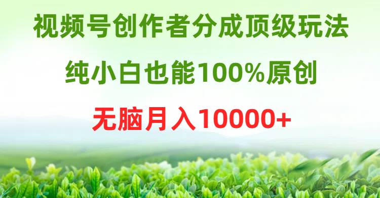 视频号创作者分成顶级玩法，纯小白也能100%原创，无脑月入10000+-资源智库