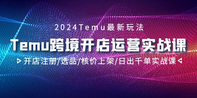 2024Temu跨境开店运营实战课,开店注册/选品/核价上架/日出千单实战课-资源智库