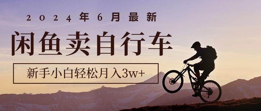 2024年6月最新闲鱼卖自行车，新手小白轻松月入3w+项目-资源智库